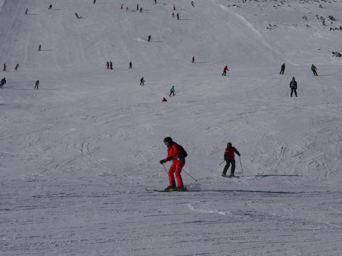 Altavista Mountain Apartment Samokow Zewnętrze zdjęcie