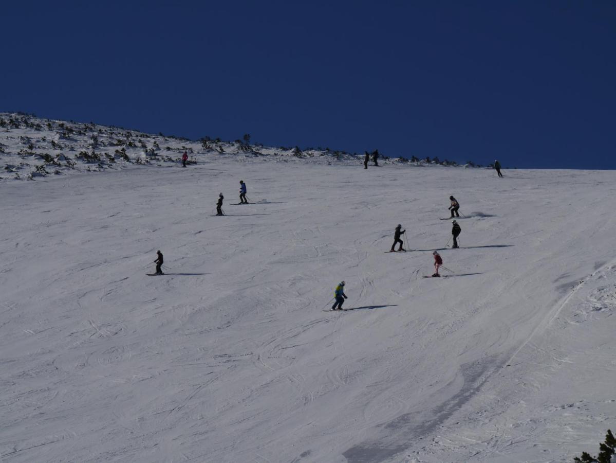 Altavista Mountain Apartment Samokow Zewnętrze zdjęcie