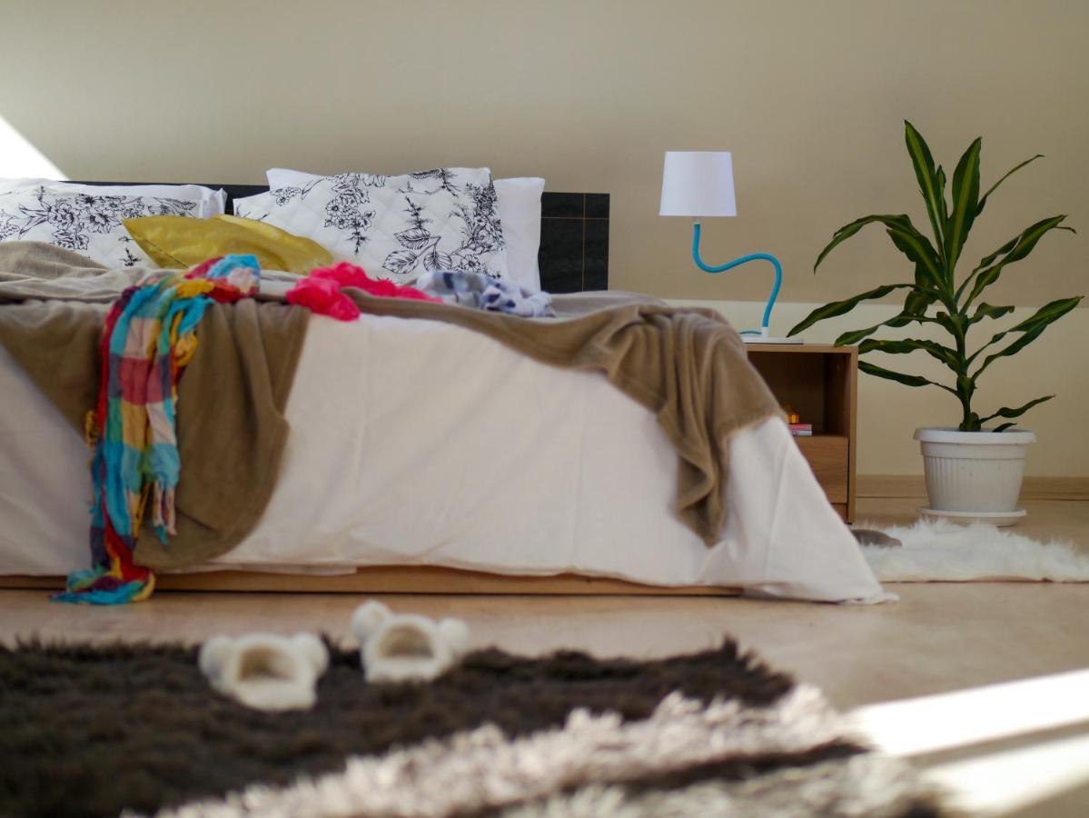 Altavista Mountain Apartment Samokow Zewnętrze zdjęcie